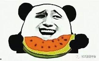 吃瓜群众多子多福,多子多福，新时代生育观念新风向