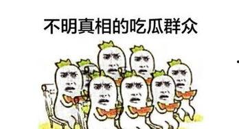 吃瓜群众不发言视频播放,揭秘视频背后的沉默力量