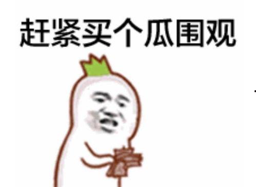 贺州吃瓜群众事件真相是真的吗,事实与谣言的辨析