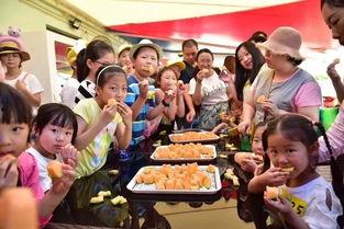 吃瓜群众只能上餐桌,餐桌上的趣味观察