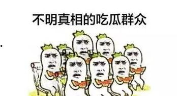 群众吃瓜群众怎么处理,吃瓜群众如何理性看待社会热点事件
