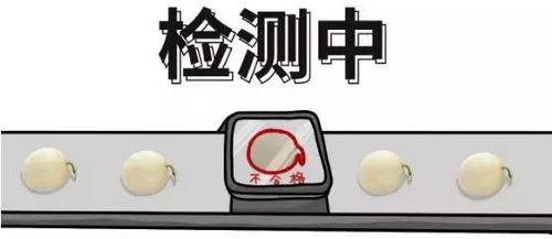 一个吃瓜群众的前提,吃瓜群众视角下的明星幕后故事