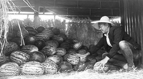 盂城驿吃瓜群众事件真相,揭开真相背后的真相