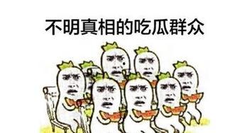 中国网民吃瓜群众,吃瓜群众眼中的热点事件盘点