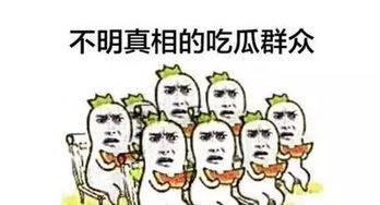 各行各业吃瓜群众,揭秘热点事件背后的众生相