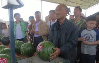 如何改造吃瓜群众的人呢,引导公众理性参与的策略与实践